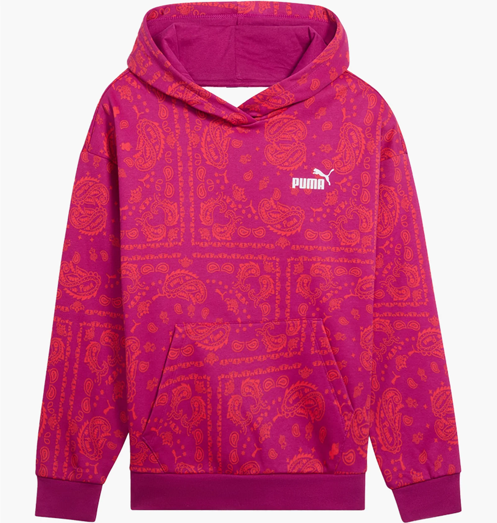 ᐉ Худі жіноче Puma Ess+ Paisley Aop Hoodie Violet 684746-45