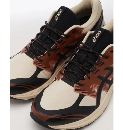 Кроссовки мужские Asics Gel-Terrain Brown 1203A342-250