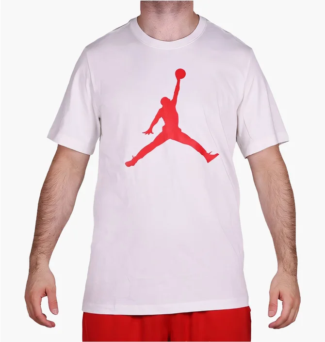 Футболка мужская Air Jordan Iconic Jumpman White CJ9671-100