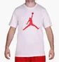 Футболка мужская Air Jordan Iconic Jumpman White CJ9671-100