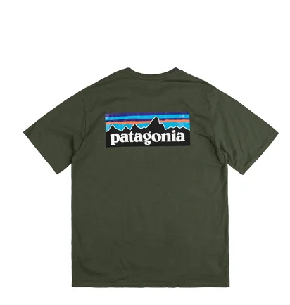 Футболка мужская Patagonia P-6 Logo Responsibili-Tee Green 38504-TPGN