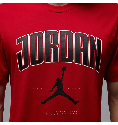 Футболка мужская Air Jordan City 88 T-Shirt Red HQ0009-687