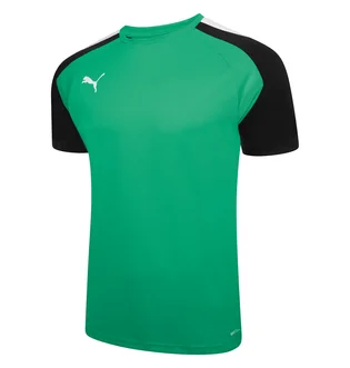 Футболка мужская Puma Teampacer Jersey Green 704919-05