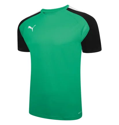 Футболка мужская Puma Teampacer Jersey Green 704919-05