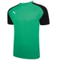 Футболка мужская Puma Teampacer Jersey Green 704919-05