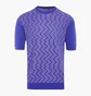 Футболка мужская Cesare di Napoli Collection Blue M-134822