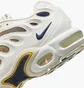 Кроссовки мужские Nike Tn Air Max Plus Drift Phantom Beige/Grey FZ4748-100