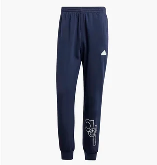 Штаны мужские Adidas Fleece Grafity Print Blue IS2012