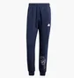 Штаны мужские Adidas Fleece Grafity Print Blue IS2012