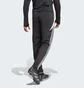 Штаны мужские Adidas Tiro 24 Winterized Black IM9974