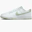 Кросівки чоловічі Nike Dunk Low Retro Shoes White DV0831-105
