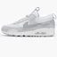 Кроссовки женские Nike Air Max 90 Futura Grey/White Dm9922-103