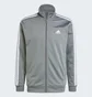 Спортивный костюм мужской Adidas Basic 3-Stripes Tricot Track Suit Grey IY6649