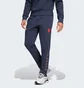 Штани чоловічі Adidas As Roma Seasonal Doubleknit Blue IT3869
