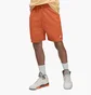 Шорты мужские Air Jordan Essentials Shorts Orange DX9675-812
