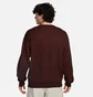 Свитшот унисекс Nike Sb Swtr Knt Corposk8 Gfx Brown FN2573-227