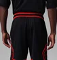 Шорты мужские Air Jordan Sport Dri-Fit Mesh Black HF9910-014
