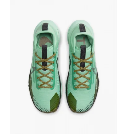 Кроссовки мужские Nike Pegasus Trail 4 Gore-Tex Turquoise DJ7926-301