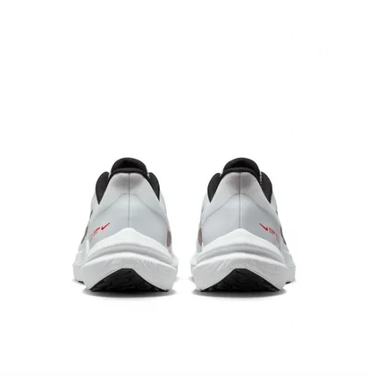 Кросівки чоловічі Nike Winflo 9 White DD6203-009