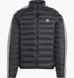 Пуховик чоловічий Adidas Stand Insulated Black IL2565