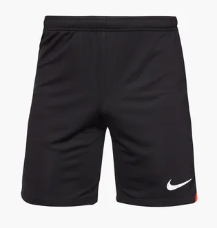 Шорты мужские Nike Dri-Fit Academy Pro Shorts Black DH9236-013