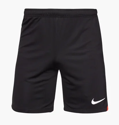 Шорты мужские Nike Dri-Fit Academy Pro Shorts Black DH9236-013