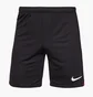 Шорты мужские Nike Dri-Fit Academy Pro Shorts Black DH9236-013