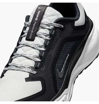 Кроссовки женские Nike Pegasus Gore-Tex Black/Grey FQ1357-002