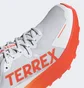 Кроссовки мужские Adidas Terrex Agravic 3 White JI0951