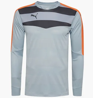 Лонгслів чоловічий Puma Stadium Gk Grey 702089-35