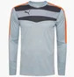 Лонгслив мужской Puma Stadium Gk Grey 702089-35