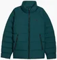 Пуховик мужской Puma Mono Turquoise 688370-75