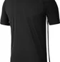Поло мужское Nike Shirt M Nk Dry Acdmy19 Polo Ss Black BQ1496-010