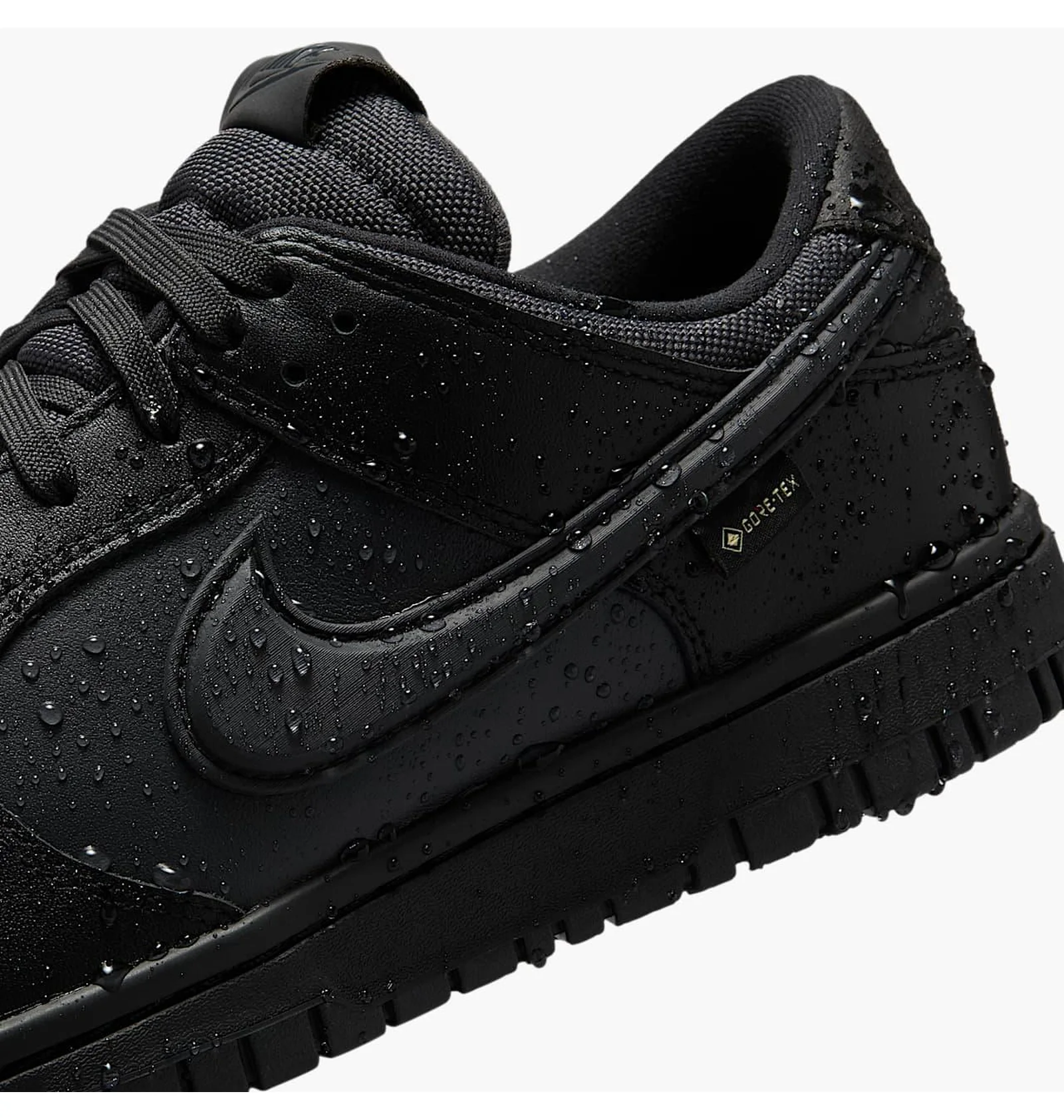 ᐉ Кросівки чоловічі Nike Dunk Low Gore-Tex Black HQ2053-001