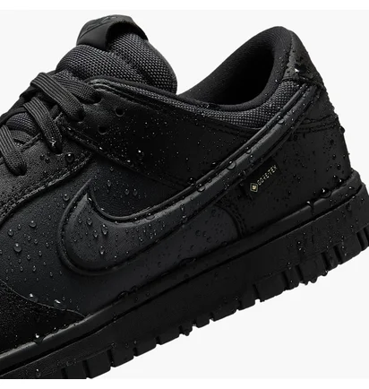 Кроссовки мужские Nike Dunk Low Gore-Tex Black HQ2053-001