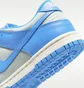 Кросівки дитячі Nike Dunk Low Blue/Grey FB9109-004