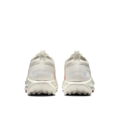 Кросівки чоловічі Nike Pegasus Trail 5 Gore-Tex Beige FQ0908-100