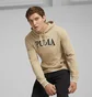 Худи мужское Puma Squad Beige 678969-83
