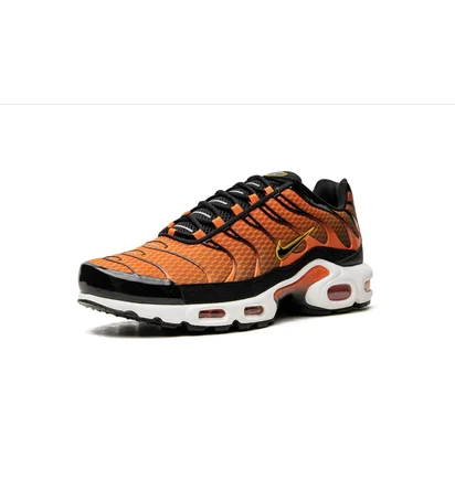 Кросівки чоловічі Nike Air Max Plus Orange DM0032-800