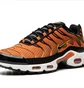 Кросівки чоловічі Nike Air Max Plus Orange DM0032-800