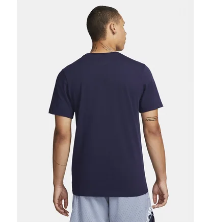 Футболка мужская Nike Giannis Violet Dr7619-498