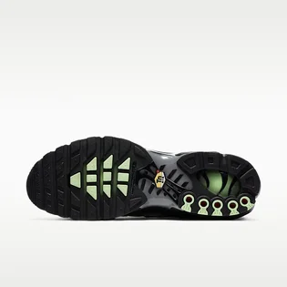 Кроссовки мужские Nike Air Max Plus MenS Shoe Black/Grey CZ7552-001