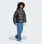 Пуховик чоловічий Adidas Adicolor Down Regen Jacket Black IW3454
