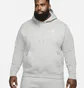 Худі чоловіче Nike NSW Club Crew Grey BV2654-063