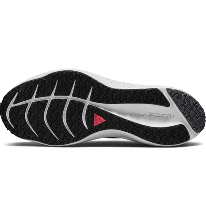 Кроссовки мужские Nike Winflo 8 Shield Black DC3727-001
