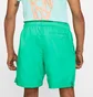 Шорты мужские Air Jordan M J Jumpman Poolside Short Green CZ4751-372