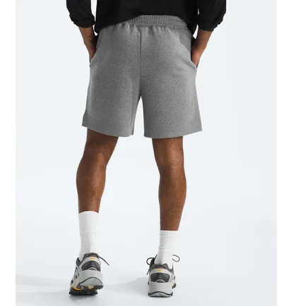 Шорти чоловічі The North Face Evolution Grey NF0A86WDGAZ-R