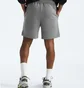 Шорти чоловічі The North Face Evolution Grey NF0A86WDGAZ-R