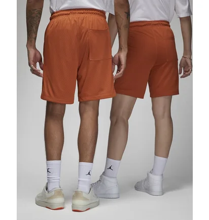 Шорты унисекс Air Jordan Artist Series By Umar Rashid Mesh Shorts Orange DX9720-812