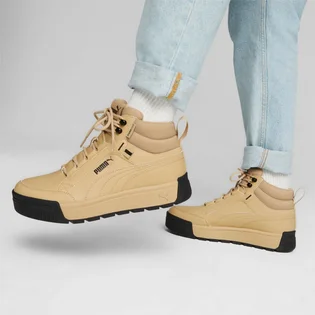 Кросівки чоловічі Puma Tarrenz Sb Iii Puretex Beige 393930-02